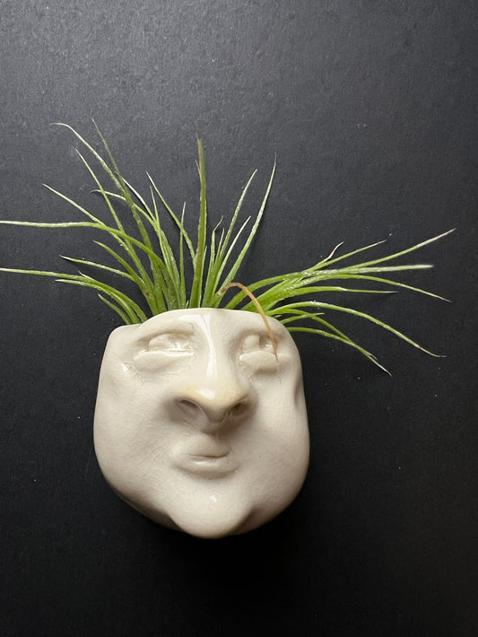 Airplant Buddy Magnet