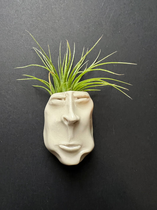 Airplant Buddy Magnet