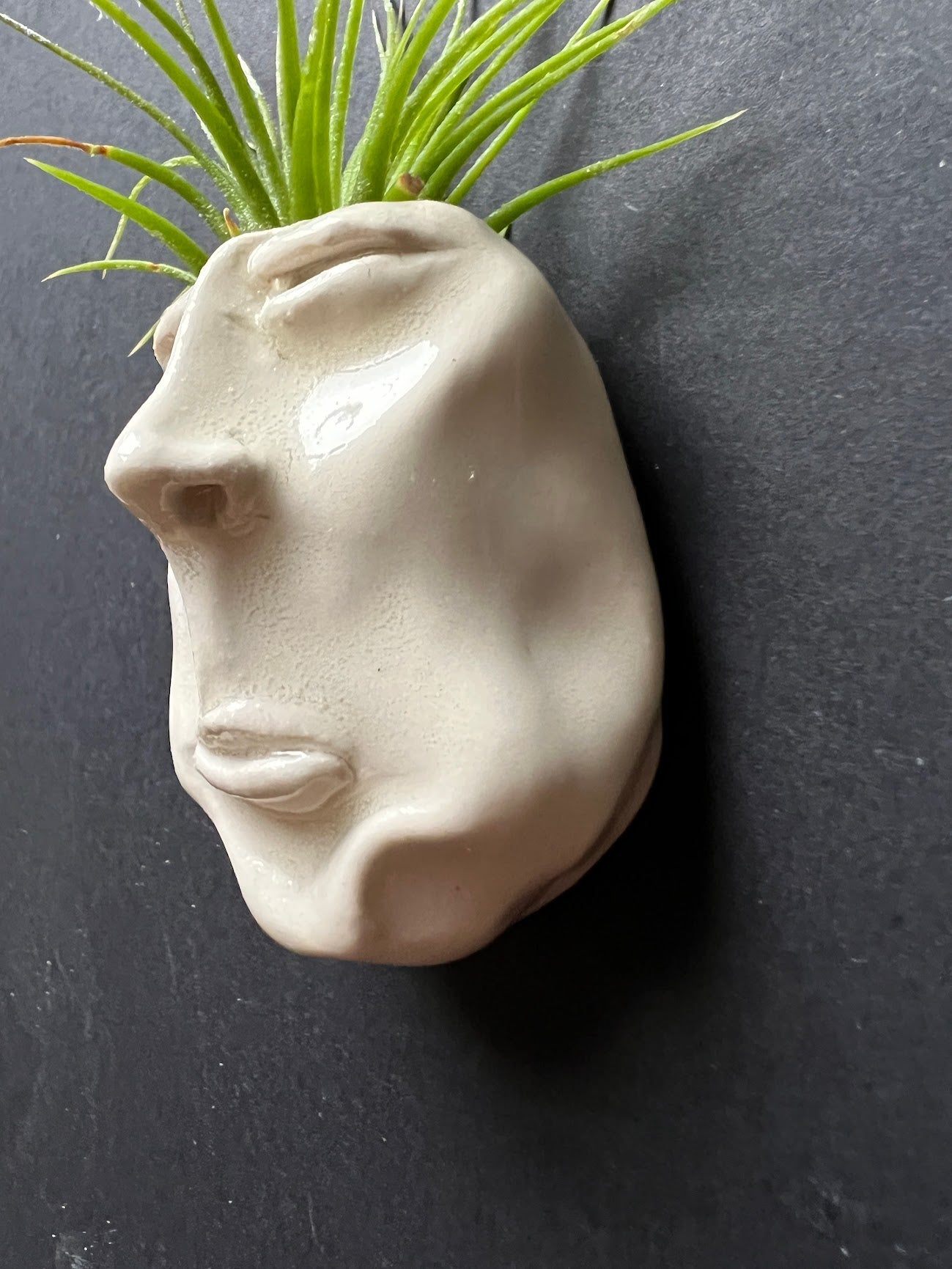 Airplant Buddy Magnet